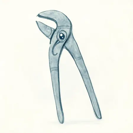 Water color illustrative image of a generic 10 in. Self Adjusting Pliers