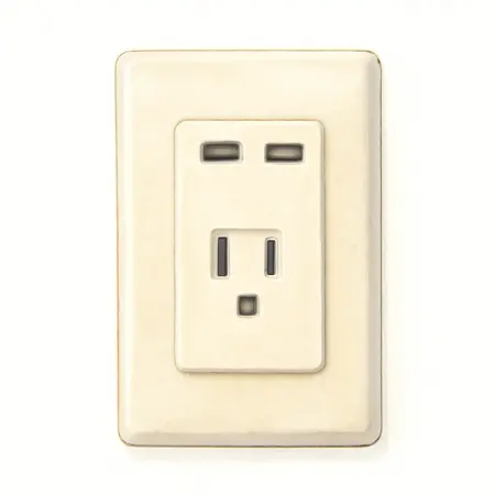 Water color illustrative image of a generic 20 Amp 125v 2 USB Rapid Charging Outlet