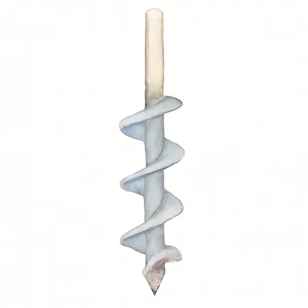 Water color illustrative image of a generic 2 in. Auger Pilot Bit