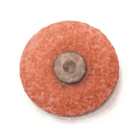 Water color illustrative image of a generic 2 in. Medium Grade Fiber Surface Conditioning Discs, 5 Pack