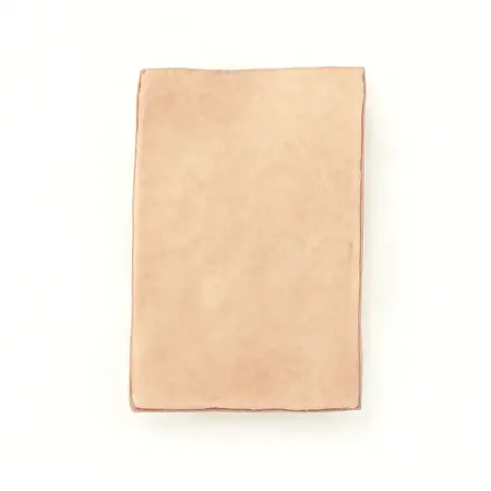 Water color illustrative image of a generic 3-2/3 in.  x 9 in.  220 Grit 1/3 Sheet Sandpaper, 5 Pk.