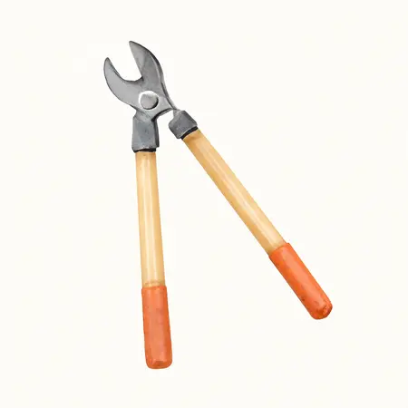 Water color illustrative image of a generic Long-Reach Ratcheting Bypass Lopper