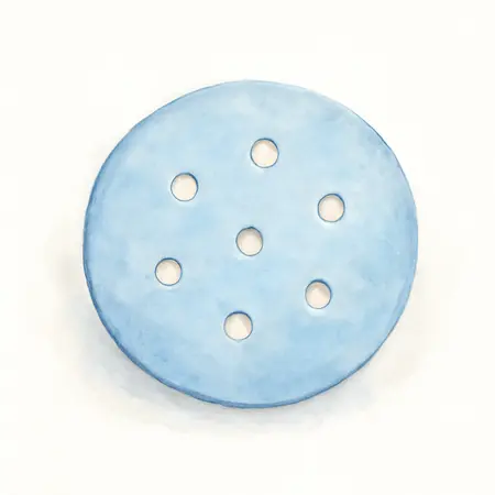 Water color illustrative image of a generic 6 in. 1200 Grit Hook and Loop Film Sanding Disc, 5 Pk.