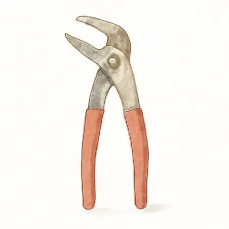 Water color illustrative image of a generic 8 in. Hose Grip Pliers