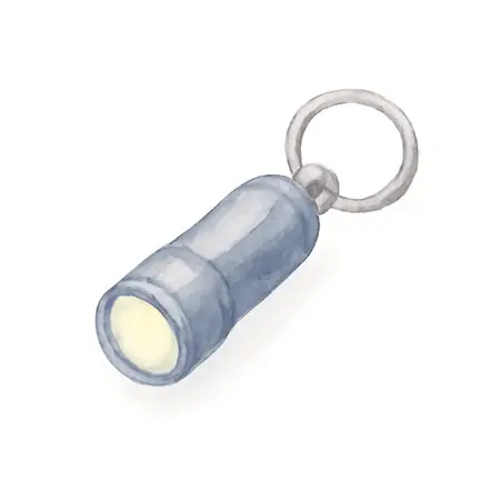 Water color illustrative image of a generic 30 Lumen Key Chain LED Flashlight