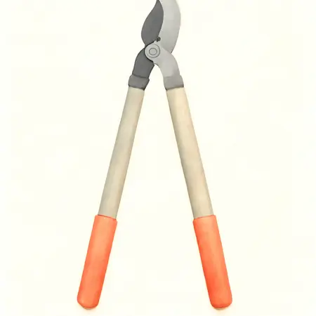 Water color illustrative image of a generic Long Reach Ratcheting Bypass Lopper