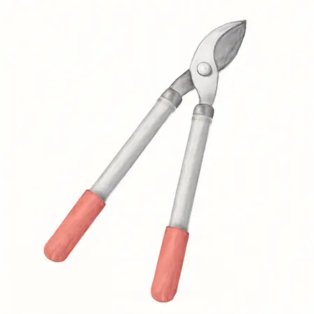 Water color illustrative image of a generic Steel Handle Lopper