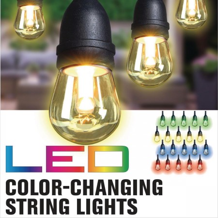 24 ft. 12 Bulb Color Changing LED String Lights
