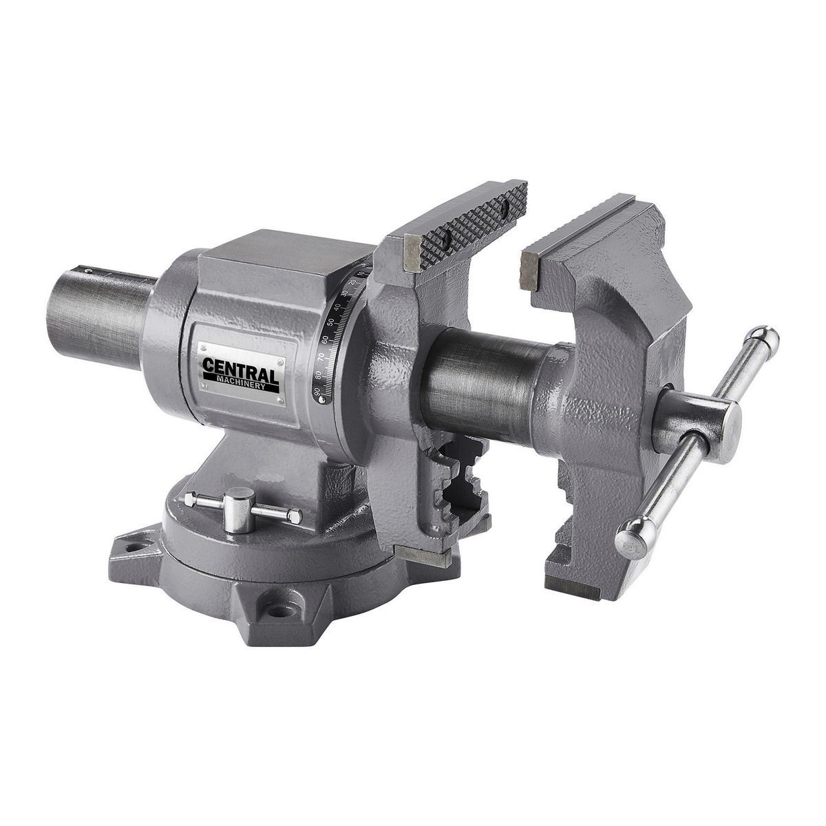 5 in.  Multi-Purpose Vise with Anvil