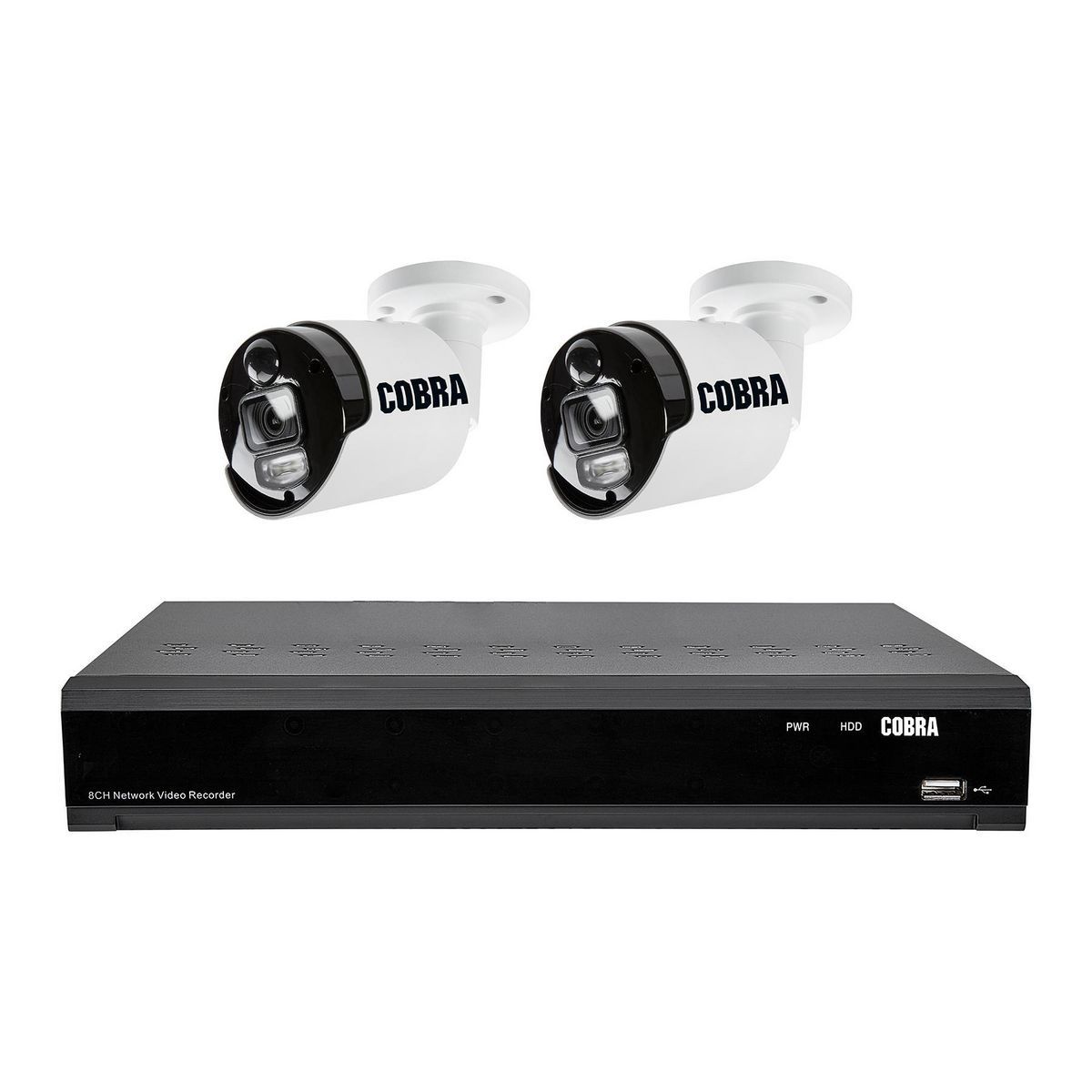 8 Channel 4K NVR IP Security System with Two Cameras