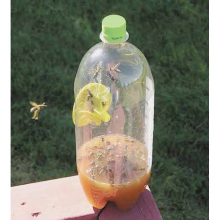 Wasp and Hornet Traps, 2 Pk.