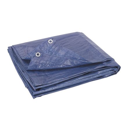 HFT 29 ft. 4 in. x 49 ft. Blue All-Purpose/Weather-Resistant Tarp